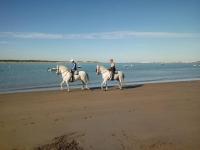 La Carabela, Elcano - B&B Sanlúcar de Barrameda