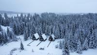 Wild Lodges - Chambres d’hôtes