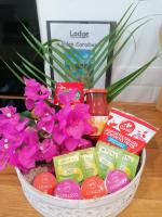 Lodge Eden Caraibes 6p avec piscine privée 6x3 - B&B Sainte-Anne