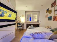Appartamento con 1 Camera da Letto