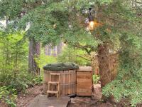 Ohana Cabin | WiFi, Wood Stove, AC, Hot tub - Chambres d'hôtes Packwood