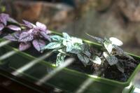 Appartement met 1 Slaapkamer