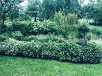 Ferienwohnung nähe Bodensee - B&B