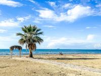 Serotonine Donor 672 - B&B Durazzo