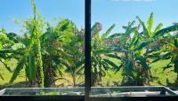 banana tree view studio flat with bathtub in heart of Phuket - B&B