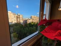Atico Oasis Elche - B&B Elx