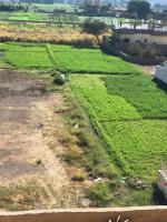 Habu Garden Apartment - B&B