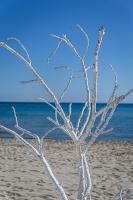 La terrazza di Lillo - B&B Carovigno