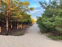 Słoneczna Przystań - Rumba - Ferienwohnung Danzig