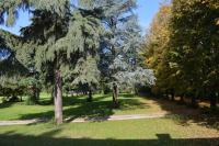 Studio mit Gartenblick