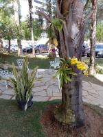 Lugar encantado - Apartamento - B&B Brasília