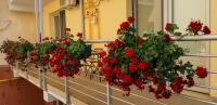 Suite mit Terrasse
