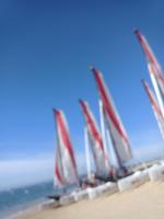 Foudebassan - Chambres d’hôtes La Teste-de-Buch