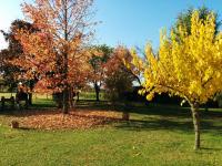 Holiday Home La Moranda - B&B San Fior