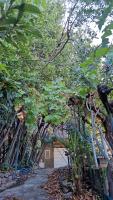 Secret villa's city garden - B&B Perugia