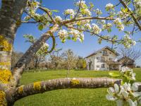 Ferienwohnung Im Obstgarten - B&B Lorenzenberg