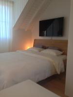 Carouge Loft Apartment - Chambres d’hôtes Genève