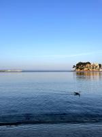 Casa Del Mar, en plein centre ville! - Bed and Breakfast Bandol