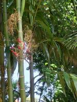 Pousada vale das aguas1 - B&B Foz do Iguaçu