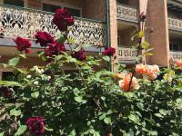 Executive 4BR 3Bath Entire Apartment in Heart of the City & Parking - B&B