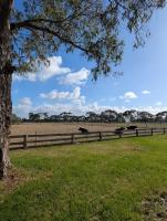 Cosy Connewarre Cottage - Ferienwohnung Connewarre