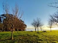 A pistiña - B&B Pontevedra