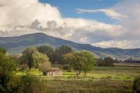 Pension Nickel Ferienwohnung EG Am Holzlachgraben - B&B Alsbach-Hähnlein