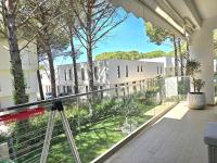 Olive Tree Apartment - 290 - B&B Mullini i Danit