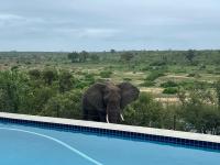 Horizons River Lodge Mjejane - B&B Hectorspruit