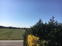 Strandmuschel - Ferienwohnung Aventoft