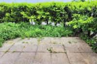 Appartement Cosy Proche de Paris-Wi-FI - B&B Le Bourget