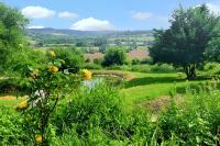 Studio cosy à Camembert - 20 m² avec terrasse et parking - B&B Camembert