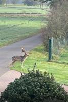 Haus Seeblick - Ferienwohnung Alt Schwerin