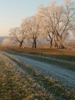Ferienwohnung an der Elbe - B&B Bleckede