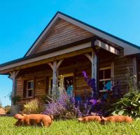 The Little House - B&B Ballynacarrow