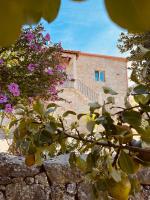 Vila Adelaide - Bed and Breakfast Campos