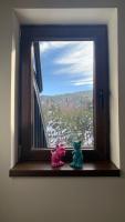 Apartman Veverko - B&B