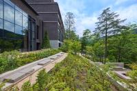 KINUGAWA KEISUI - B&B Nikkō