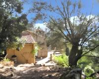 Maison charmante avec vue sur la mer, Olmeto + Cheminée - B&B Olmeto