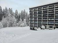Alpen Studio Ellmau II - Bed and Breakfast Ellmau