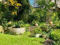 l'ESCALE - Bed and Breakfast Saint-Pair-sur-Mer