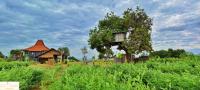 A Mango Tree House with a private swimming pool - B&B
