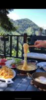 Çamdibi Dağevi - B&B