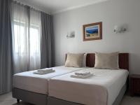 Deluxe One-Bedroom Apartment