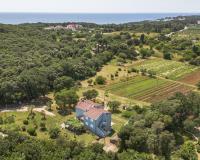 Apartment Irena 2, free parking, 10 min from sea - B&B Rovigno