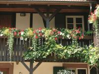 Weingut Alfred Huber - Ferienwohnung
