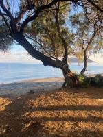 Nadra Beachfront Suites - Ferienwohnung Plataniás