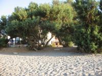 Nadra Beachfront Suites - Bed and Breakfast Plataniás