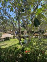 MAIKHAO ISLANd 4 - Bed and Breakfast Ban Mai Chalae