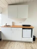 Deluxe One-Bedroom Apartment